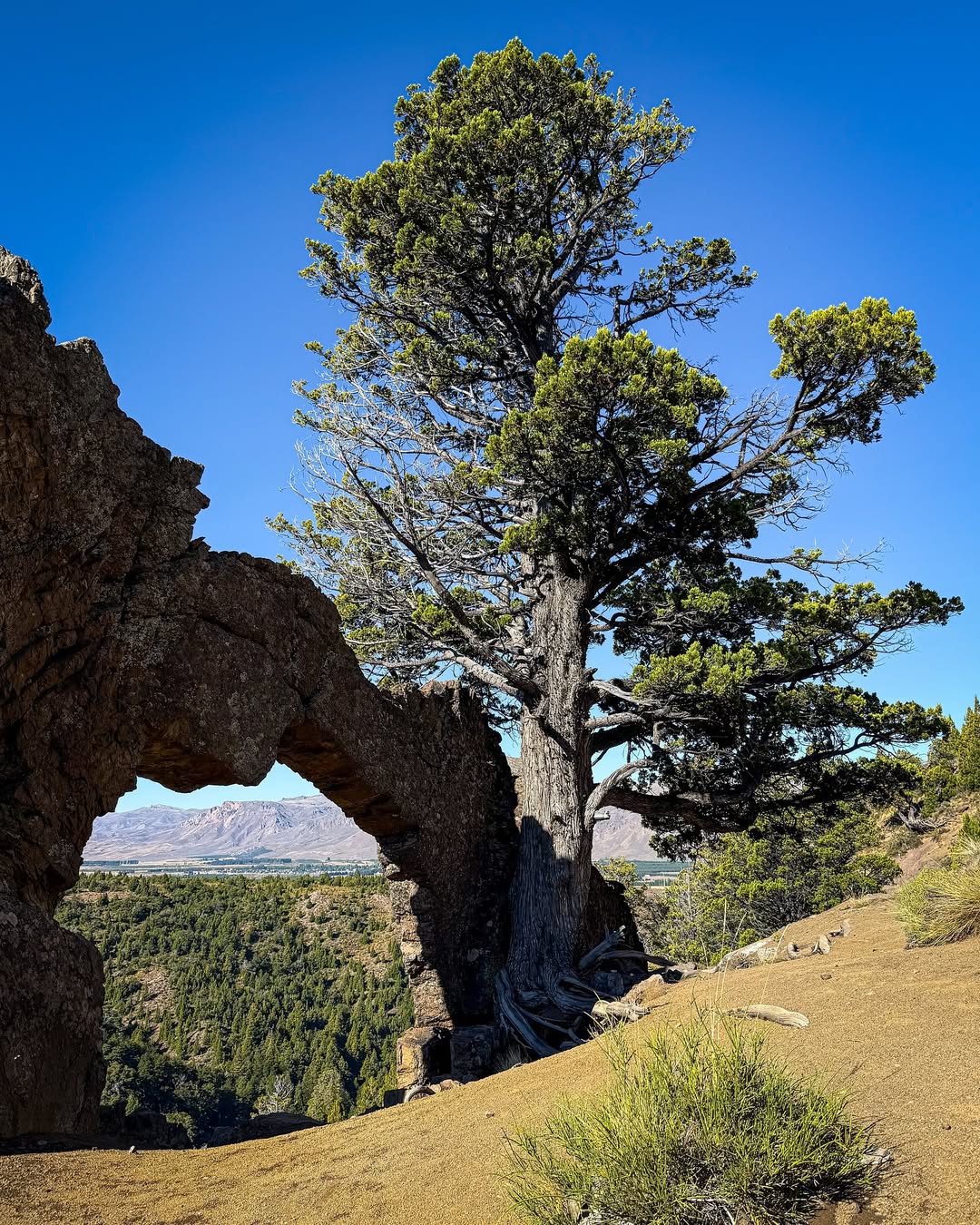 Vista del Cerro de la Ventana